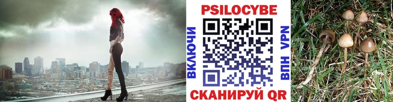 Галлюциногенные грибы GOLDEN TEACHER  где купить   Кирсанов 