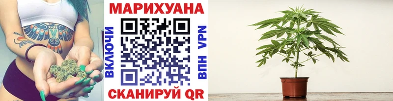 Канабис Bruce Banner  Кирсанов 
